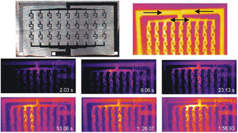 microscopia termografica microfluidica