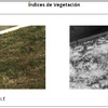 Indices de vegetacin