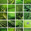 Medioambiente