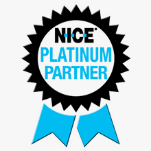 logo PLATINUM PARTNER nice