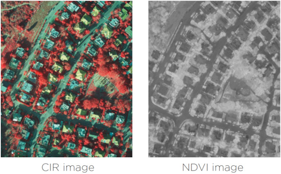 CIR-NDVI