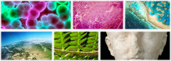 Aplicaciones cámaras hiperespectrales Aplicaciones cámaras hiperespectrales